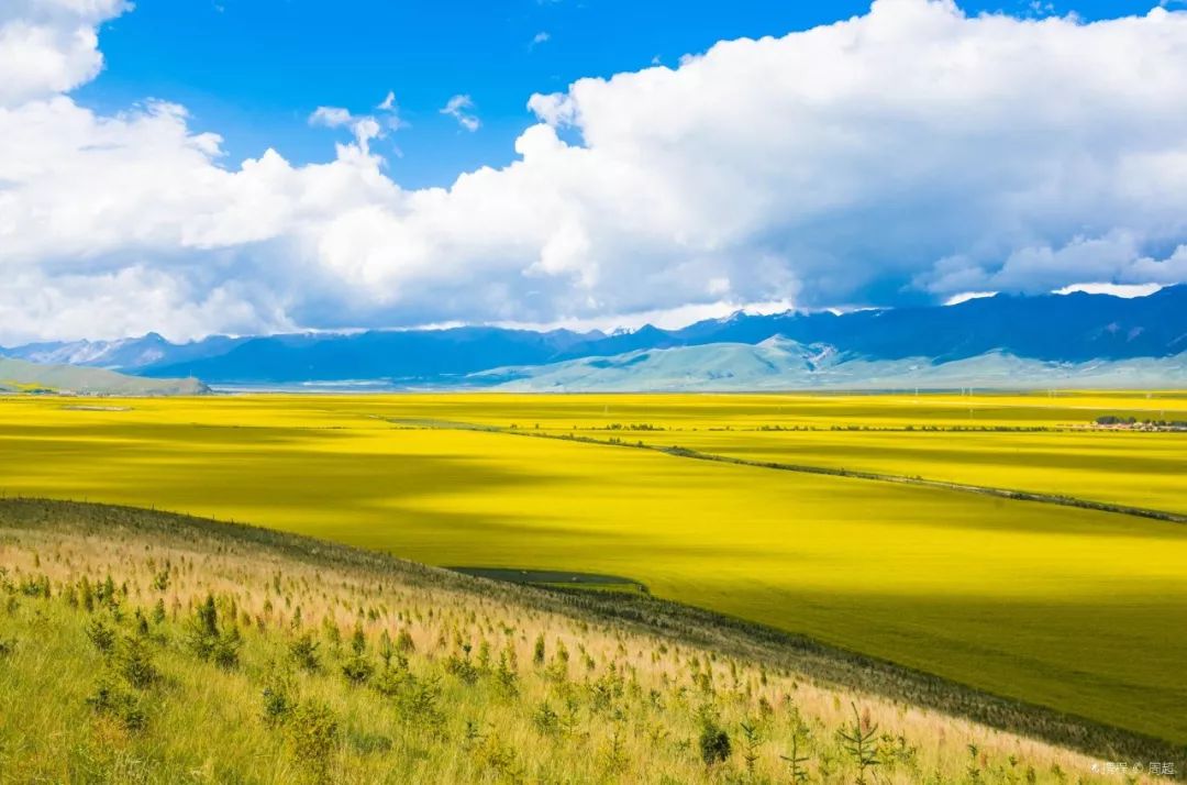 青海独特小巷风情探寻之旅